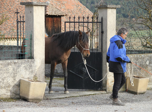 Passage étroit pour le cheval